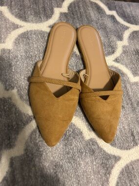 Suede Pointed Toe Slide Mules in Tan